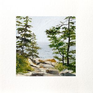 8x8 Maine Original Oil Painting Seascape Acadia National Park Pines Rock Signed